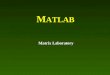 M ATLAB Matrix Laboratory. Internet Resources: Dr. H-C Chen’s CVEN 302 Web Page  For MATLAB, select chap01b.ppt,