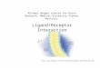 L*  Michael Berger (Center for Brain Research, Medical University Vienna, Austria): Ligand/Receptor