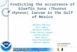 Predicting the occurrence of bluefin tuna (Thunnus thynnus) larvae in the Gulf of Mexico