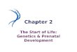 Chapter 2 The Start of Life: Genetics & Prenatal Development