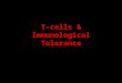 T-cells & Immunological Tolerance. Chapter 10. Tolerance Our own bodies produce some 100,000 different proteins and one of the longstanding conundrums
