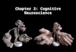Chapter 2: Cognitive Neuroscience. Simple, yet so complex; The Neuron Either or operation At rest: Average 100ms between firing Excitation: Much faster