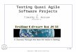 Copyright © 2005 Korson-Consulting 1/136 Testing Quasi Agile Software Projects by Timothy D. Korson Presented at: