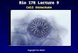 Bio 178 Lecture 9 Cell Structure Copyright: E.G. Platzer