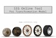 SIG Online Tool For Transformation Model 