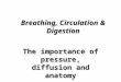 Breathing, Circulation & Digestion The importance of pressure, diffusion and anatomy