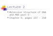 Lecture 2 Molecular Structure of DNA and RNA part 2 Chapter 9, pages 237 - 250