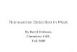 Nitrosamine Detection in Meat By Beryl Ombaso, Chemistry 4101, Fall 2008 1