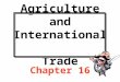 Agriculture and International Trade Chapter 16. Discussion Topics Growth and instability in agricultural trade The importance of agricultural trade The