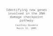 Identifying new genes involved in the DNA damage checkpoint pathway Courtney Onodera March 16, 2005