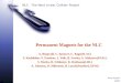 NLC - The Next Linear Collider Project Andy Ringwall 3/28/00 Permanent Magnets for the NLC A. Ringwall, C. Spencer, C. Rago(SLAC) V. Kashikhin, V. Tsvetkov,