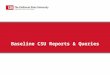 Baseline CSU Reports & Queries. Summary SAM-6 Final Budget Report (CSUSAM06) SAM-7 CSU Trial Balance (CSUGL007) CSUGL005 – Trial Balance by SCO/CSU Fund