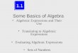 Some Basics of Algebra Algebraic Expressions and Their Use Translating to Algebraic Expressions Evaluating Algebraic Expressions Sets of Numbers 1.1