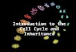 Introduction to the Cell Cycle and Inheritance. DNA - review DNA is the genetic material in all organisms The units of genetic information are genes A
