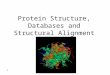 1 Protein Structure, Databases and Structural Alignment