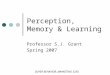 Perception, Memory & Learning Professor S.J. Grant Spring 2007 BUYER BEHAVIOR, MARKETING 3250