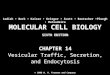 MOLECULAR CELL BIOLOGY SIXTH EDITION MOLECULAR CELL BIOLOGY SIXTH EDITION Copyright 2008 © W. H. Freeman and Company CHAPTER 14 Vesicular Traffic, Secretion,