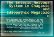 The Enteric Nervous System in Chagasic and Idiopathic Megacolon Guido Iantorno, MD,* Gabrio Bassotti, MD, PhD, w Zulema Kogan, MD, z Carlos Miguel Lumi,