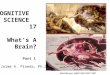 COGNITIVE SCIENCE 17 What’s A Brain? Part 1 Jaime A. Pineda, Ph.D. Meshberger, JAMA 264:1837-1841