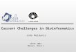 Current Challenges in Bioinformatics SPIRE 2003 Manaus, Brazil João Meidanis