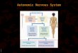 BIMM118 Autonomic Nervous System. BIMM118 Autonomic Nervous System Ganglia close to the innervated organs Myelinated axons Ganglia close to the spinal