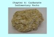 Chapter 6: Carbonate Sedimentary Rocks. There are two main categories of carbonate rocks: Calcite (CaCO 3 ) Dolomite (CaMg(CO 3 ) 2 ) Both Calcite and
