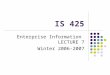 IS 425 Enterprise Information LECTURE 7 Winter 2006-2007