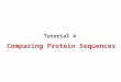 Comparing Protein Sequences Tutorial 4. Comparing Protein Sequences Substitution Matrices –PAM - Point Accepted Mutations –BLOSUM - Blocks Substitution