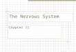 The Nervous System Chapter 11. Functions of the Nervous system I Sensory (input): Light Sound Touch Temperature Taste Smell Internal Chemical Pressure