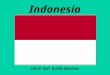 Indonesia Lisa B. Gall & Julie Marceau. World’s Largest Archipelago Area is slightly less than 3x’s the size of Texas More than 17,000 islands (6,000
