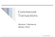 ©MNoonan2009 Commercial Transactions Module 7-Bailment Winter 2010