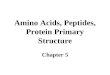 Amino Acids, Peptides, Protein Primary Structure Chapter 5