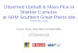 Observed Updraft & Mass Flux in Shallow Cumulus at ARM Southern Great Plains site Preliminary results Yunyan Zhang, Steve Klein & Pavlos Kollias CFMIP/GCSS