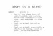 What is a bird? bird (bûrd) n. –Any of the class Aves of warm- blooded, egg-laying, feathered vertebrates with forelimbs modified to form wings. –Such