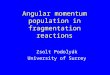 Angular momentum population in fragmentation reactions Zsolt Podolyák University of Surrey