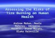 Assessing the Risks of Tire Burning on Human Health Andrew Mahon, Neale Mahoney, Adrienne Moretti, Shane Murphy, Blake Rainville