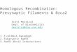 Homologous Recombination: Presynaptic Filaments & Brca2 Scott Morrical Dept. of Biochemistry smorrica@zoo.uvm.edu 1.E. coli RecA Paradigm 2.Eukaryotic