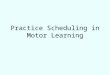 Practice Scheduling in Motor Learning. Adams’ Closed Loop Theory of Motor Learning Standard Error Detector MotorOrganization Output