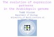 The evolution of expression patterns in the Arabidopsis genome Todd Vision Department of Biology University of North Carolina at Chapel Hill