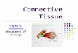 Connective Tissue Fayez A. Elmabhouh Department of Biology