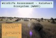 Wildlife Assessment - Kalahari Ecosystem (WAKE) Reconnaissance trip funded by University of Alberta FDIC Dr. Lee Foote University of Alberta, Edmonton,