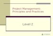 Project Management: Principles and Practices Level 2