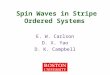 Spin Waves in Stripe Ordered Systems E. W. Carlson D. X. Yao D. K. Campbell