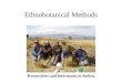 Ethnobotanical Methods Researchers and Informants in Bolivia
