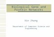 Biological Gene and Protein Networks Xin Zhang Department of Computer Science and Engineering
