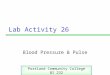 Lab Activity 26 Blood Pressure & Pulse Portland Community College BI 232