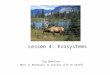 Lesson 4: Ecosystems Big Question: What Is Necessary to Sustain Life on Earth?