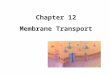 Chapter 12 Membrane Transport. Definitions Solution – mixture of dissolved molecules in a liquid Solute – the substance that is dissolved Solvent – the