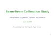 1 Beam-Beam Collimation Study Stephanie Majewski, Witold Kozanecki June 4, 2004 Acknowledgments: Ted Fieguth, Roger Barlow