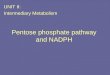 Pentose phosphate pathway and NADPH UNIT II: Intermediary Metabolism